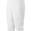 Mizuno Premier Adult Short Pant – White (350280)
